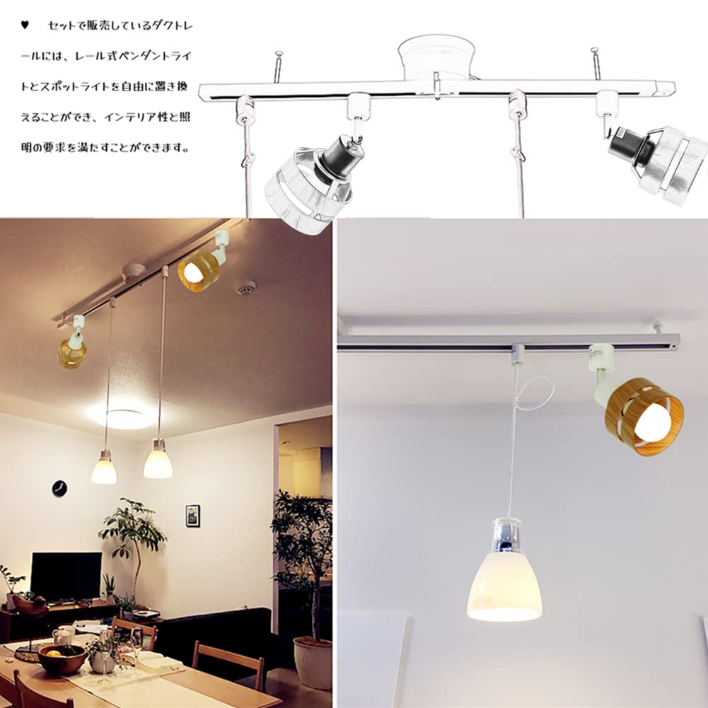 Amazon | Takumi Light 『Daguis』 レール照明セット ダクトレール 1m